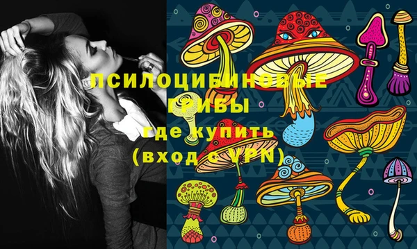 ALPHA PVP Белокуриха