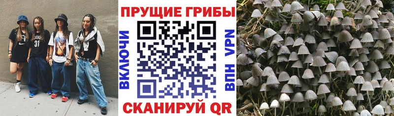 гидра онион  Козловка  Галлюциногенные грибы ЛСД 